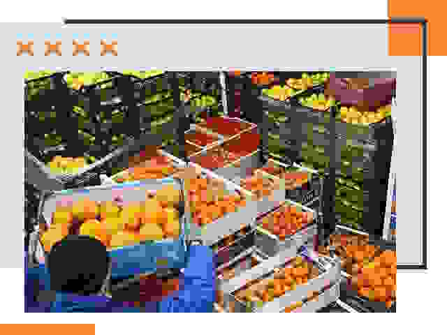 Перевозка скоропортящихся продуктов в Славгороде